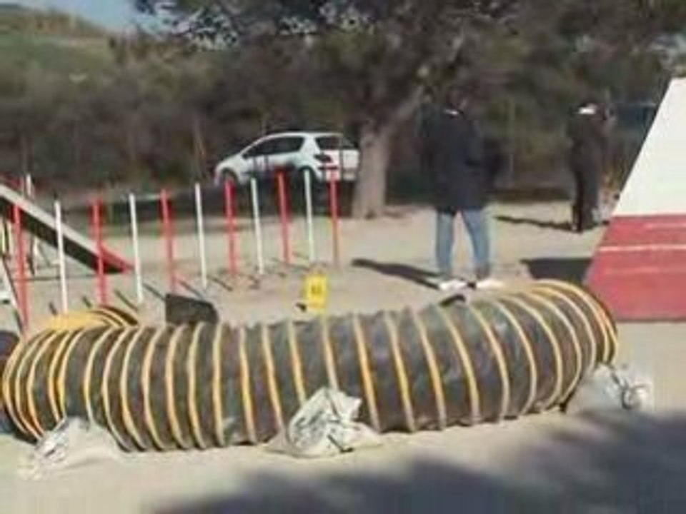 Degre 3 topaze Nimes