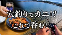 石積みの穴釣りでイシガニ連発　仕掛けを落とすたびに掛かる、晩酌まで楽しむ穴釣り記録