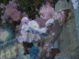 Ali Oktay-Elhamdulillah (Gulbulbul)