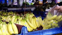 Rising cost of living for New Zealanders prompts increased migration to Australia