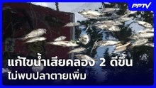 กรมชลฯ เผยแก้ไขน้ำเสียคลอง 2 ดีขึ้น ไม่พบปลาตายเพิ่ม | ทันข่าวสุดสัปดาห์ | 24 ต.ค. 69