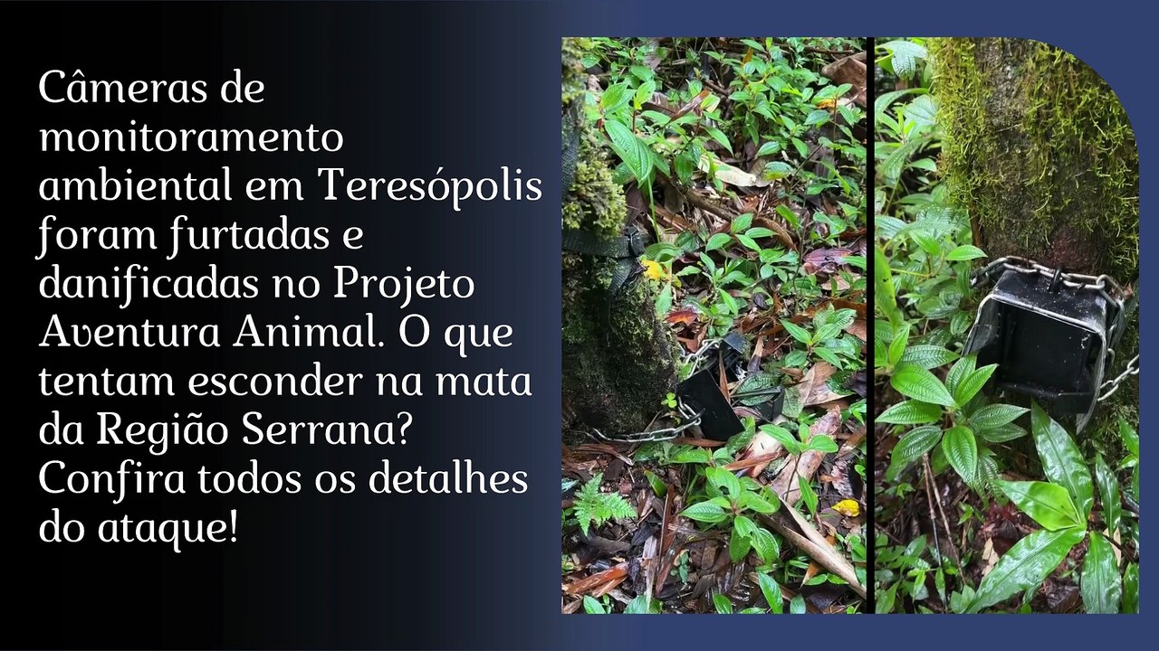 CÂMERAS AMBIENTAIS DESTRUIDAS EM TERESÓPOLIS: O Que Querem Esconder na ...