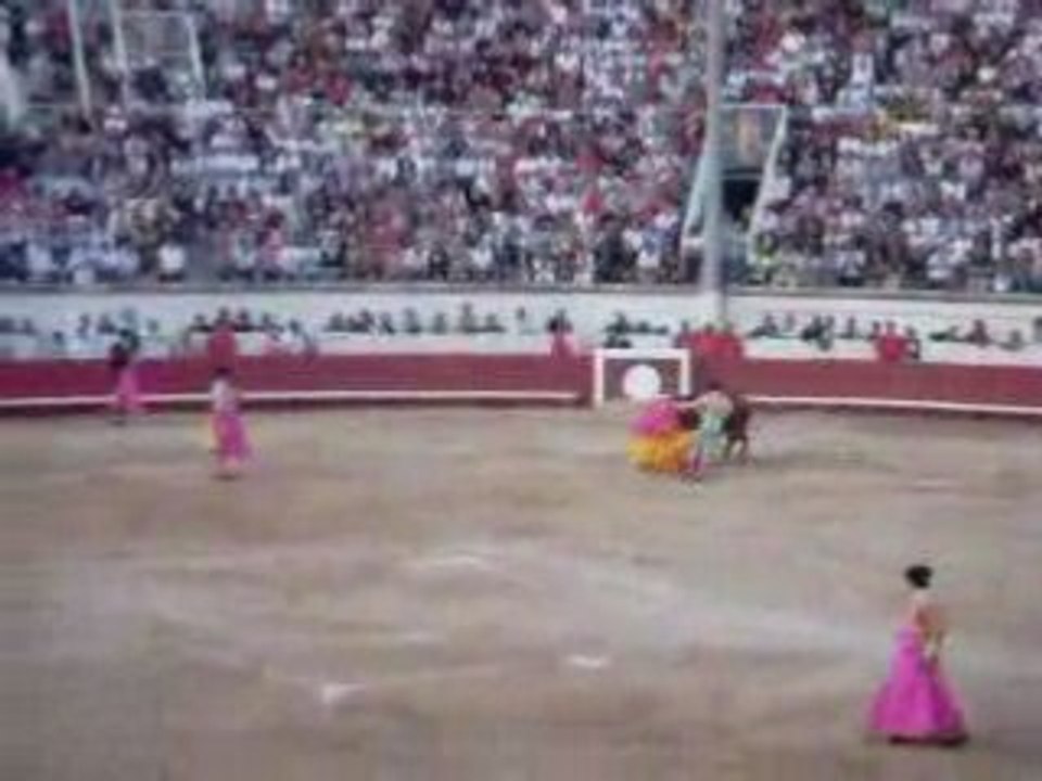Corida