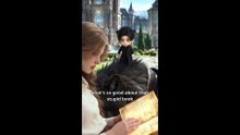 I Hear the Cold Wolf King Acting Cute - ENG 4K