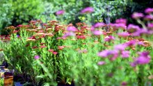 Gardeners World 2026 S01E19