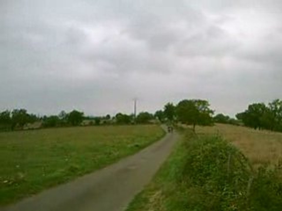 betarr46