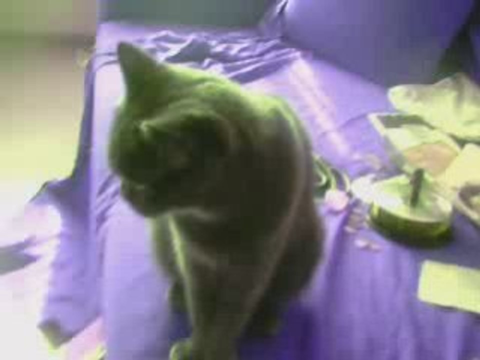 Webcam 1220193150442