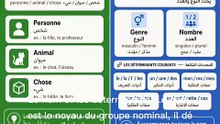 Le nom et les déterminants 1ère année collège