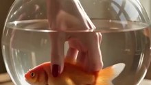 Her Husband's Younger Brother Moved In With A Camera And Started Filming Only Her