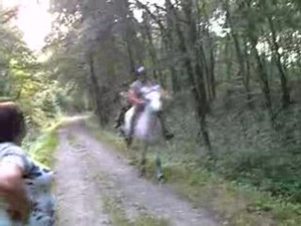 CLIP0007