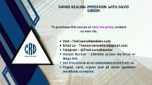 Thecourseresellers.com - Sound Healing Immersion with David Gibson