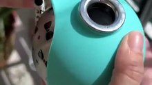 Portable Dog Water Bottle | Leak-Proof Travel Bowl for Walks & Hikes