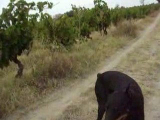 cache cache avec titi et alter