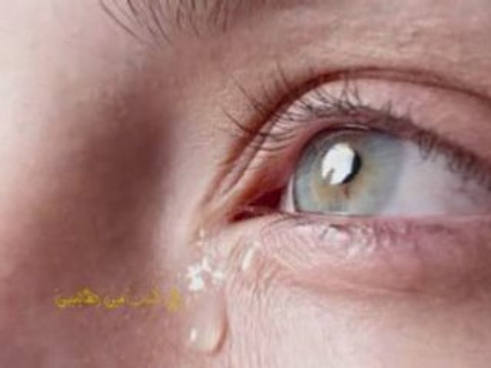 Très BEAU ANASHEED Cheikh Al 'Afasy A VOIR!!