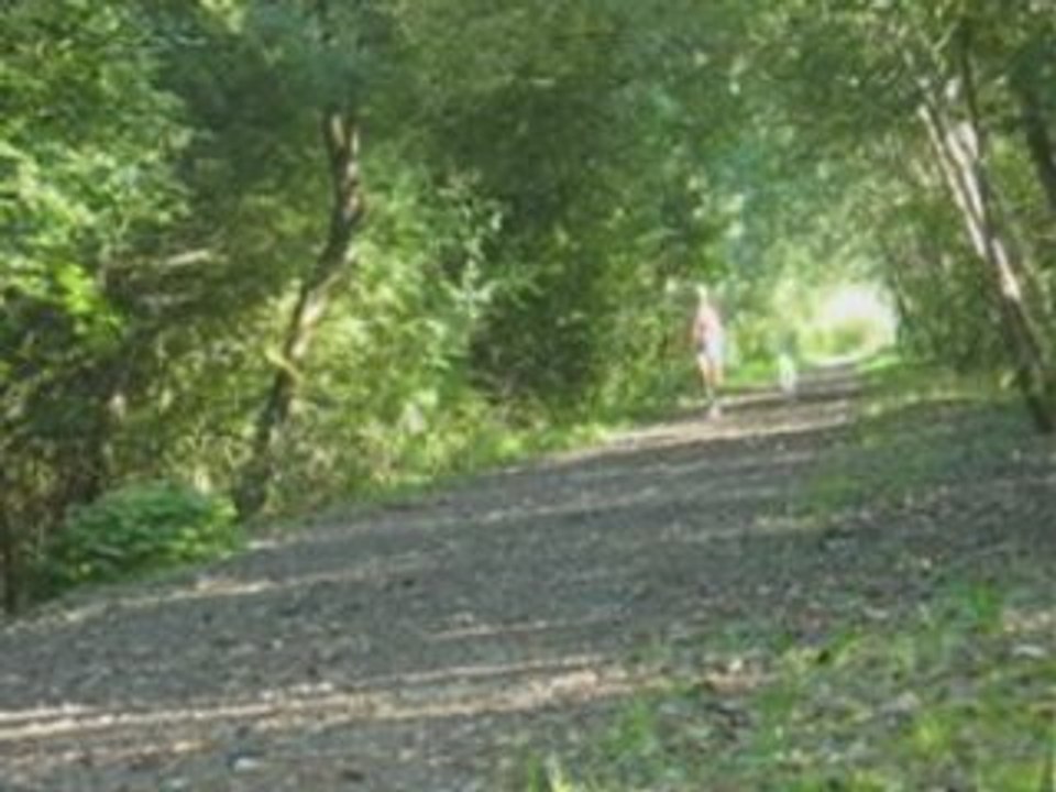 Montage de la promenade