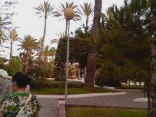 Amazigh tarkan   été 2008