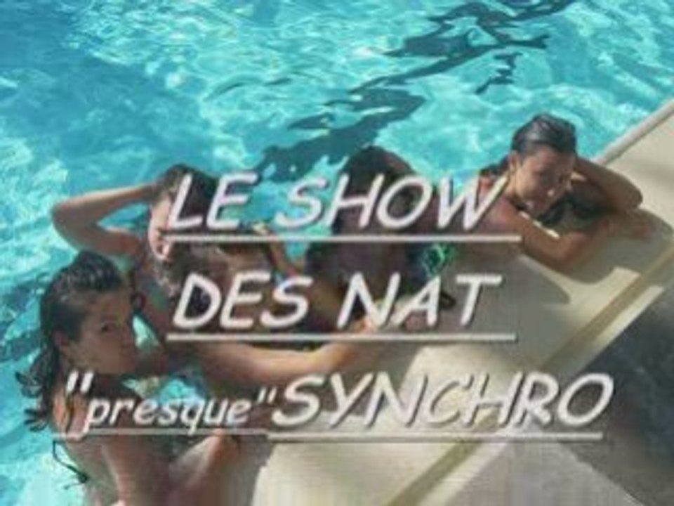Les stars de la nat synchro 08 2008