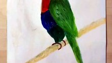 SERDAR ŞİMŞEK 35×50 KURU PASTEL BOYA PAPAĞAN ÇALIŞMASI