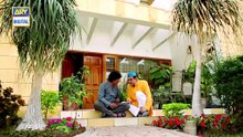 Watch Dilli Walay Dularay Babu Episode 37 - on Ary Digital in High Quality 6th May 2017 [Full Movie] [Full Movie]