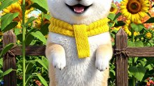Shiba Puppy's Sunflower Straw Bale Country Dance! 🌻🐶
