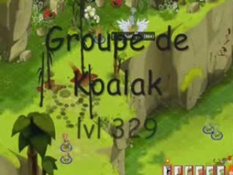 Beta-test Dofus : Domen Destiny-sy iop lvl 134