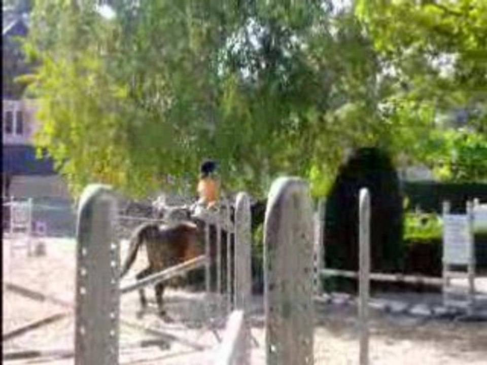 Epreuve de CSO pour mon Galop 4