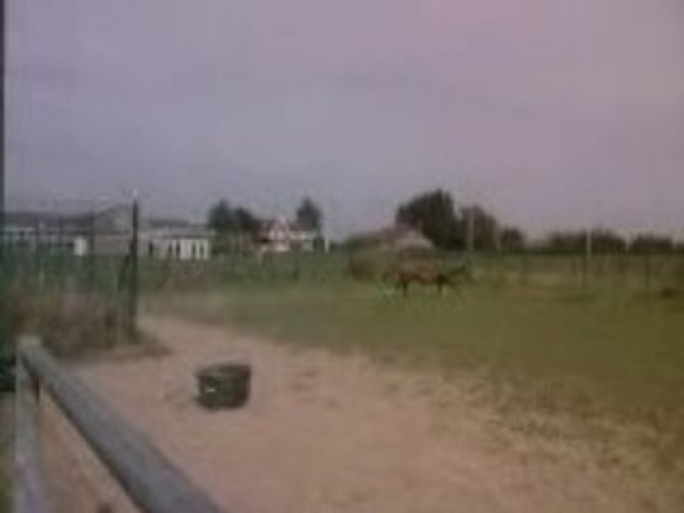 Vidéo0002
