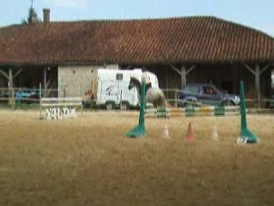 Lamirée