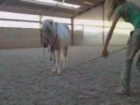 Bianca et les écuries