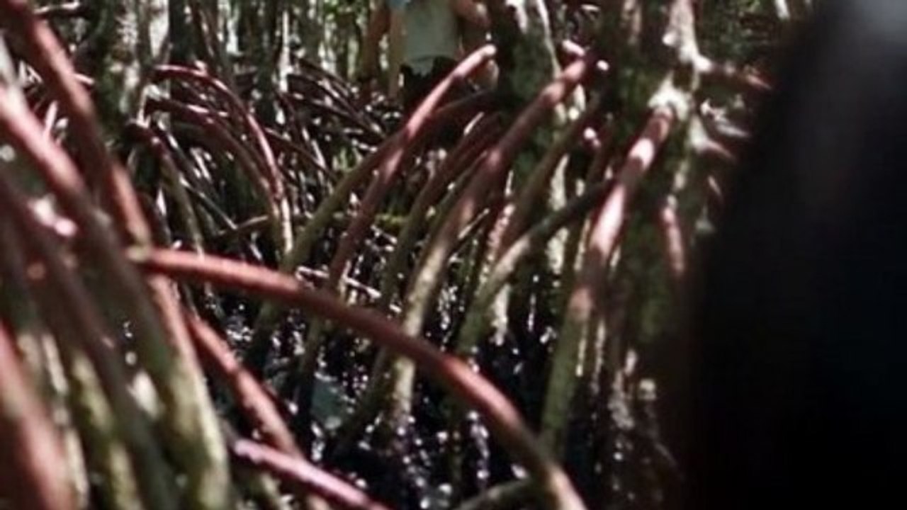 Desert Island Throne: Four Goddesses Fall for Me (FULL) - video Dailymotion