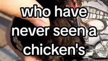 Maybe we can say that chickens have teeth after all 🦷🐔