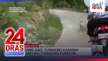 Alagang aso, tumakbo kasabay ng karo ng yumaong furmom sa Cebu | 24 Oras Weekend