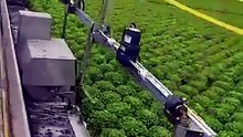 *Automated Hydroponic Lettuce Farming System in Modern Greenhouse*