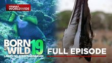 19th Anniversary Special- Laban ng Ating Karagatan - Part 4 | Born To Be Wild (Full Episode)