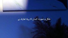 Parizaad deep words