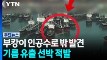 부캉이, 이틀째 항구 근처에서 관찰...기름 유출 유조선 적발 / YTN