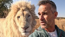Blondie the Collared Lion and Trophy Hunting Debate | Wildlife Commentary