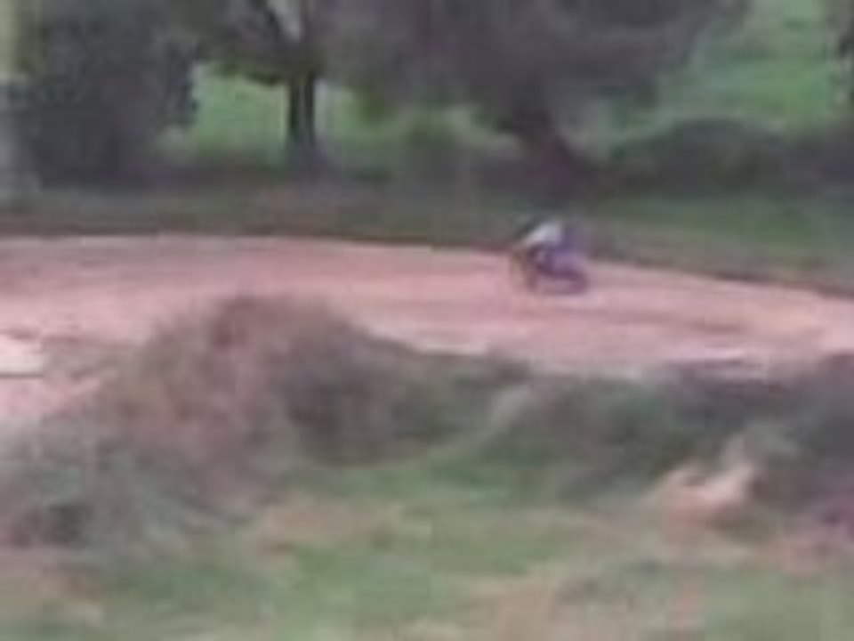 250 kx-f et 250 yz-f a blargies