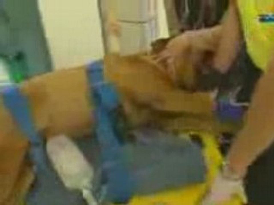 Tierrettung-thueringen