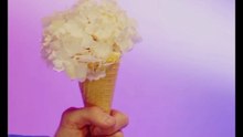 Ice Cream Facts That Will Surprise You! 🍦😲