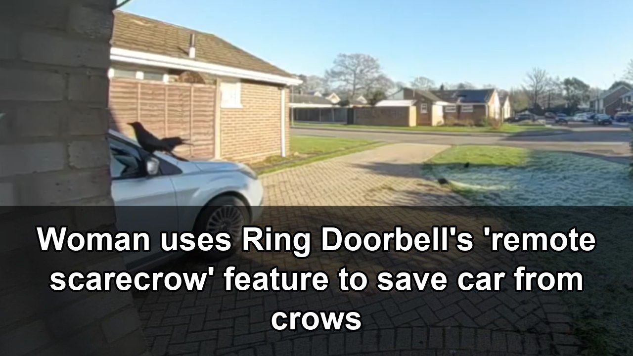 Individual employs Ring Doorbell's 'remote deterrent' function to ...