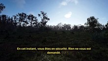 Vous N'avez Pas Besoin de Tout Résoudre Ce Soir | Apaiser son Esprit