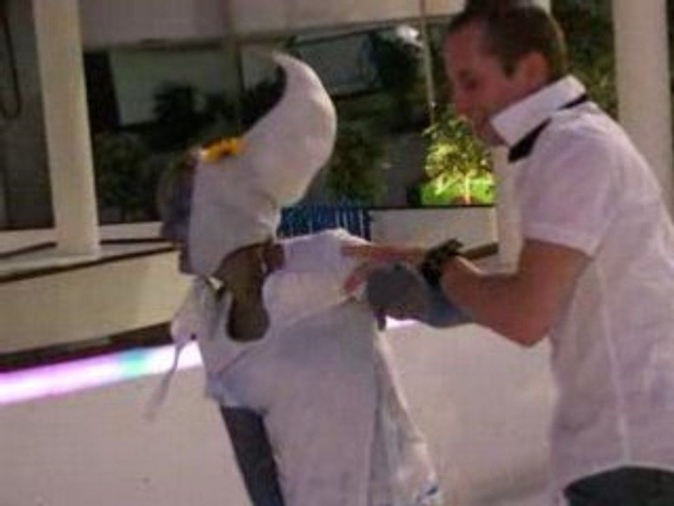 Adieu de jeune fille aurèl 075