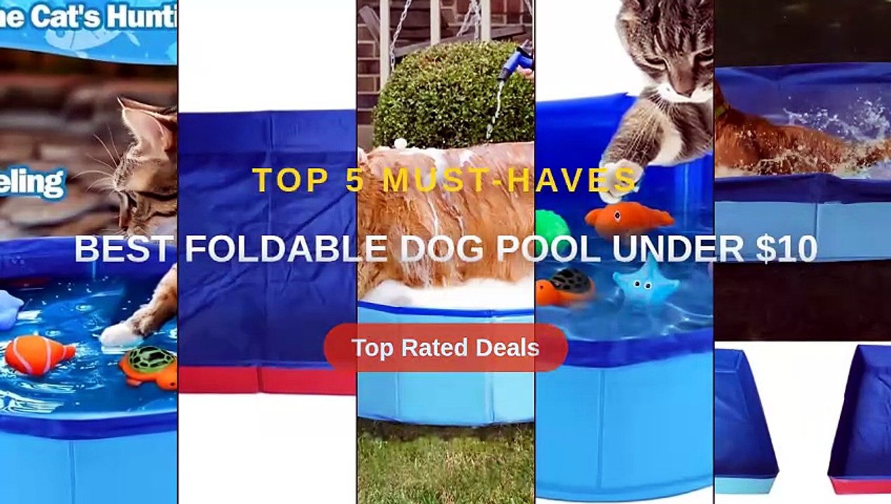 Best Foldable Dog Pool Under $10 - Video Dailymotion