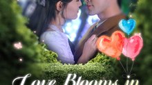 Love Blooms in Contracted Hearts | Part 1/2