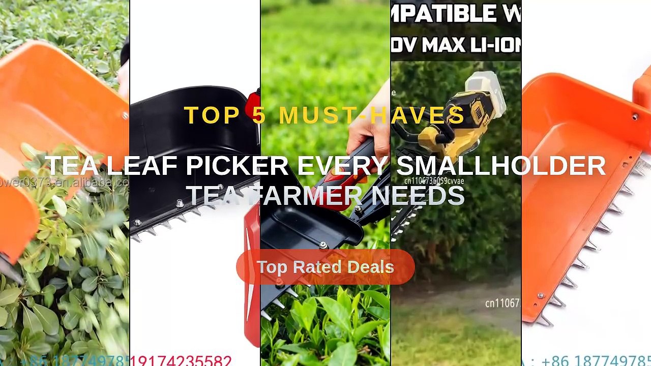 Tea Leaf Picker Every Smallholder Tea Farmer Needs - Video Dailymotion