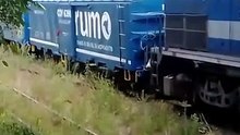 Veneno na linha