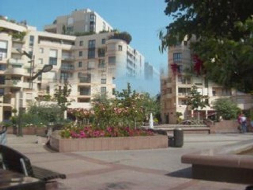 Levallois ( L )