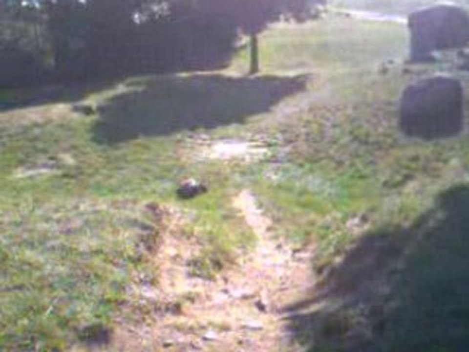 Savage X Chapelle St Laurent d'Agny