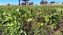 Lifting pH for profit, and sustainability
